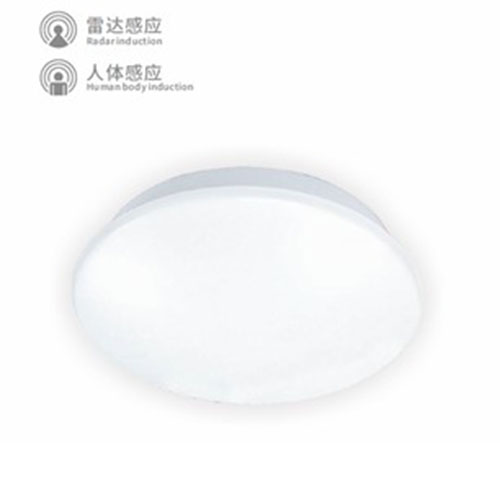 集中电源集中控制型消防应急标志灯具(吸顶灯）